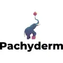 Pachyderm logo — AI company in United States