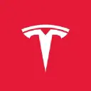Tesla AI logo