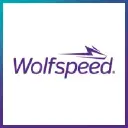 Wolf Speed logo — AI company in United States